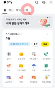 카카오톡 정부지원금