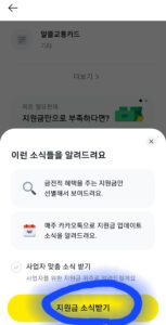 카카오톡 정부지원금