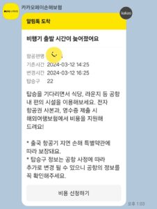 카카오톡 여행자보험 비행기 지연 보험금 보상 후기